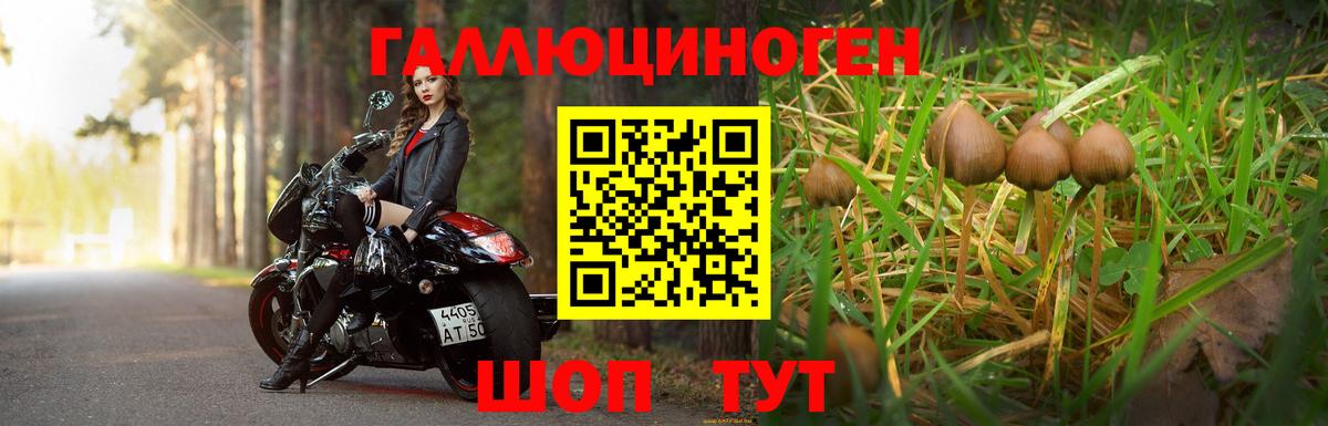 Галлюциногенные грибы Magic Shrooms  Псилоцибиновые грибы MAGIC MUSHROOMS  Вход с VPN  Надым 
